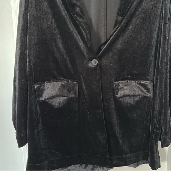 Velvet Blazer - Picture 7 of 9